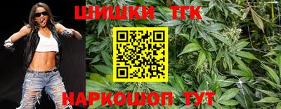 тгк Лесосибирск
