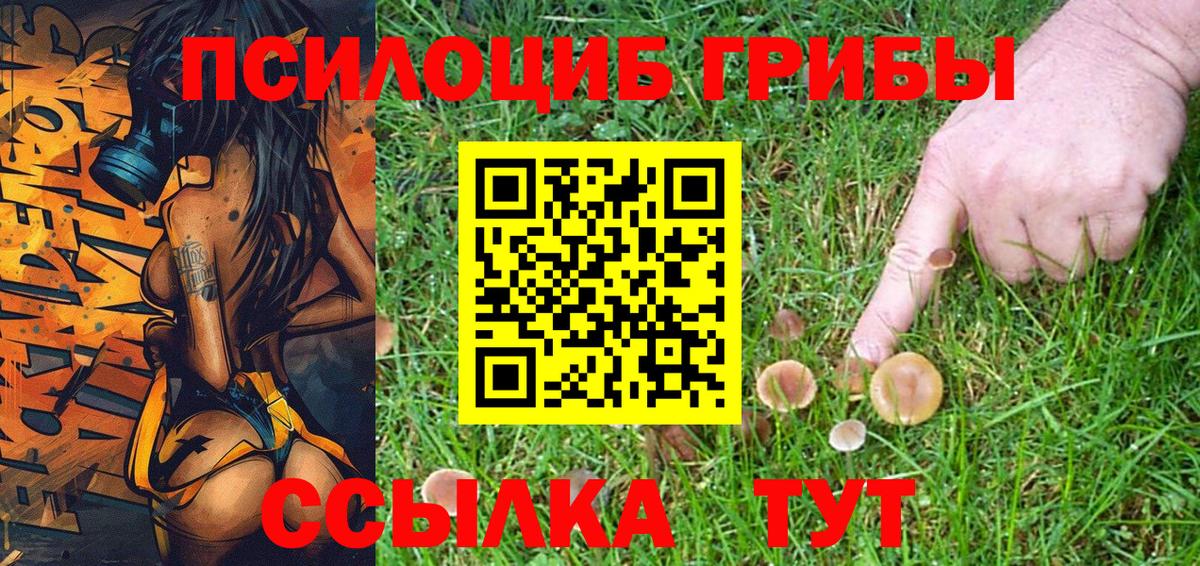 Галлюциногенные грибы мухоморы  Вход с VPN  Псилоцибиновые грибы Cubensis  Волжский 
