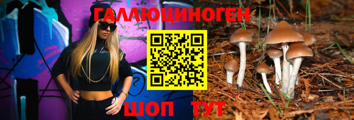 Псилоцибиновые грибы мицелий Волжский